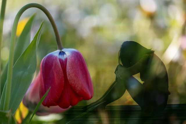 Frühjahrsdepression: Kann der Frühling krank machen?